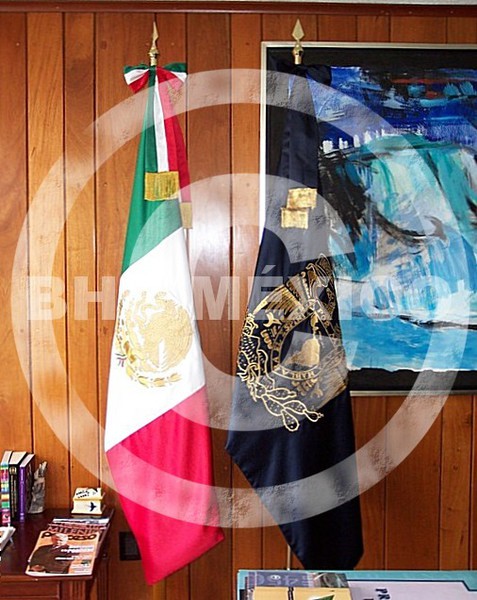 Banderas personalizadas -  México